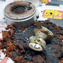 Load image into Gallery viewer, Hobart UnEarthed workshop BEGINNERS 2025/2026